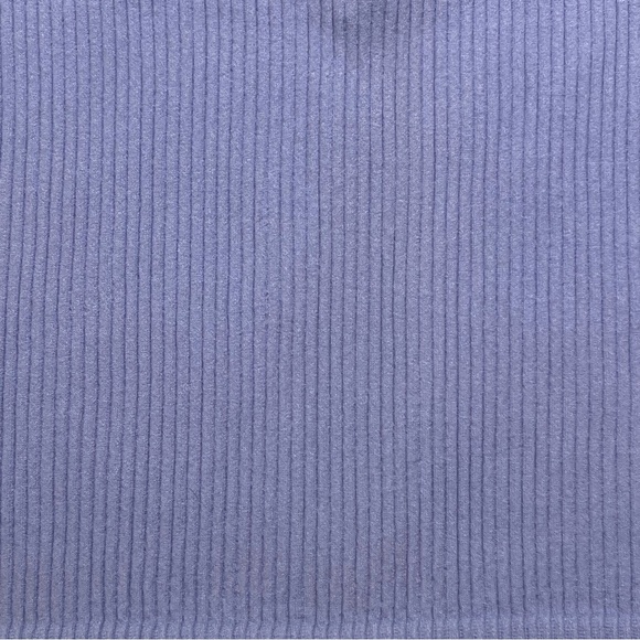 Forever 21 Purple/Blue Ribbed V-Plunge Crop Top - Picture 3 of 6